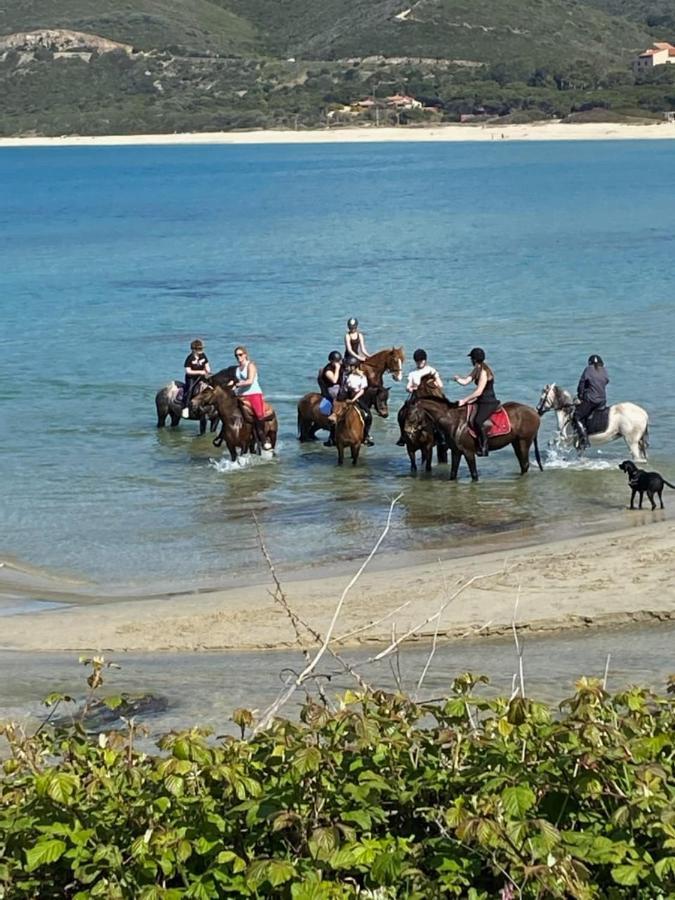 Caselena , Un Havre De Paix En Balagne Ville-di-Paraso エクステリア 写真